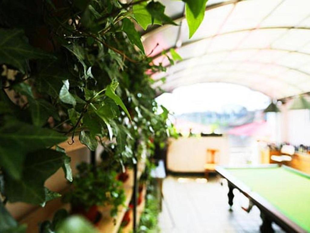Nanjing Sunflower International Youth Hostel Kültér fotó